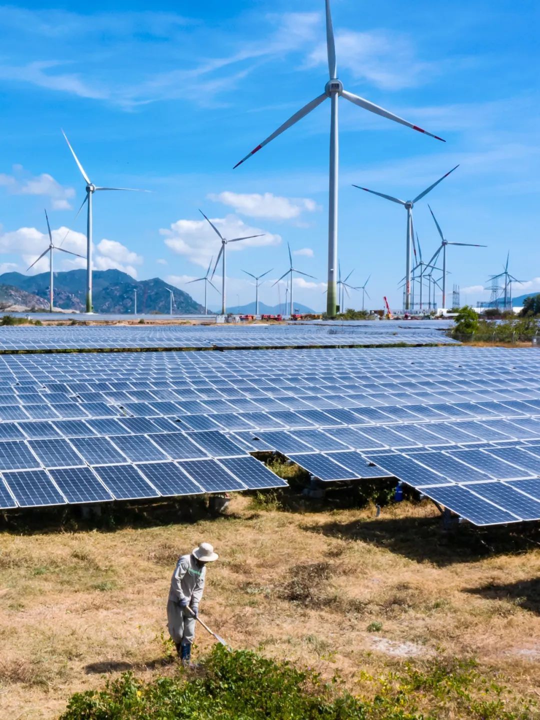 最终流传的只有“产品被盗”的传言